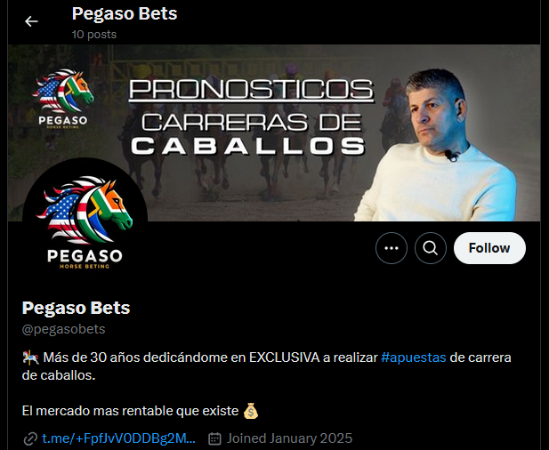 Twitter Pegaso