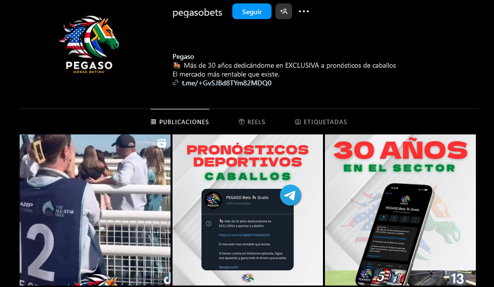Pegaso Instagram
